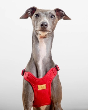 Comfort Dog Harness in Red