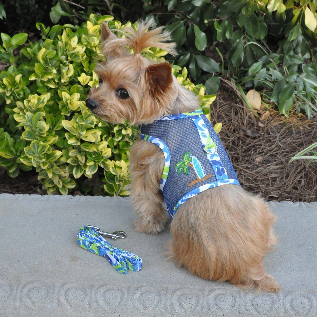 Cool Mesh Harness | Ocean Blue & Palms