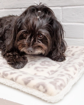 Cream Leopard Plush Fleece Pet Napping Mat (Made in the USA) (FINAL SALE)