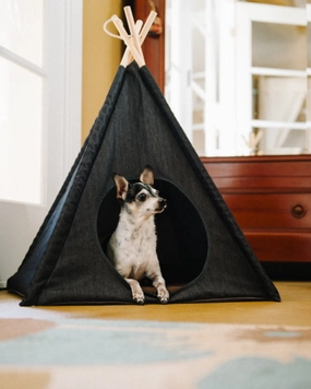 Denim Pet Teepee (Direct-Ship)
