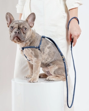 Denim Step-In Adjustable Dog Harness (Made in the USA)