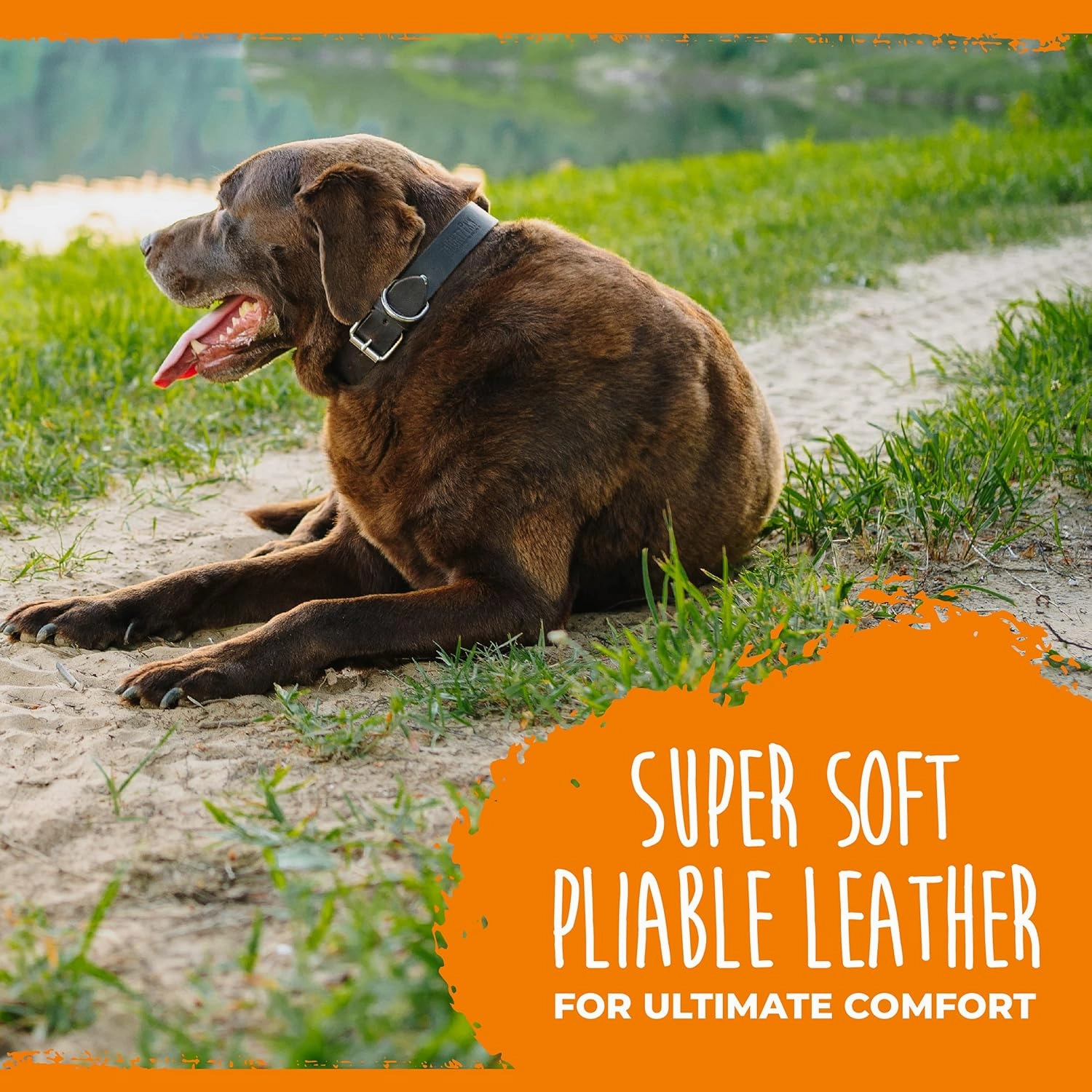 Distressed Leather Collar