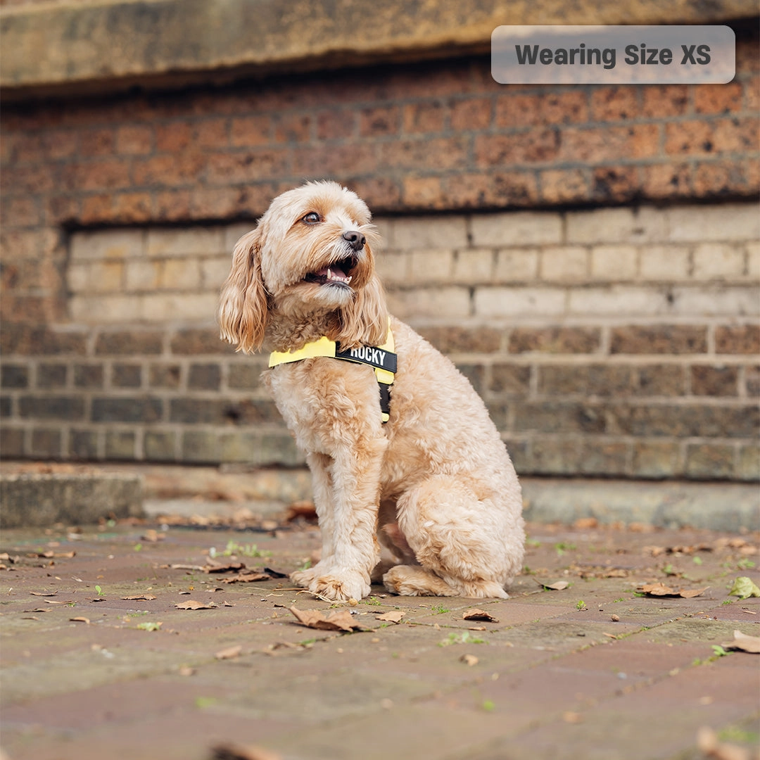 Dog Harness - Yellow