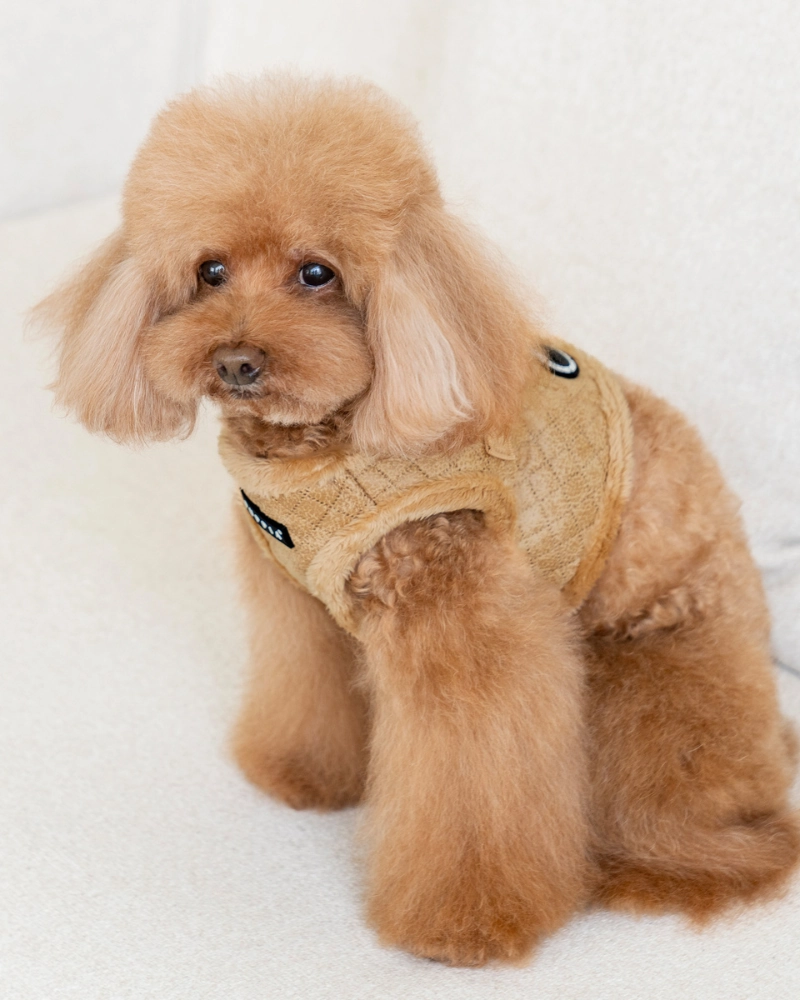 Douglas Quilted Vest Harness in Beige or Black
