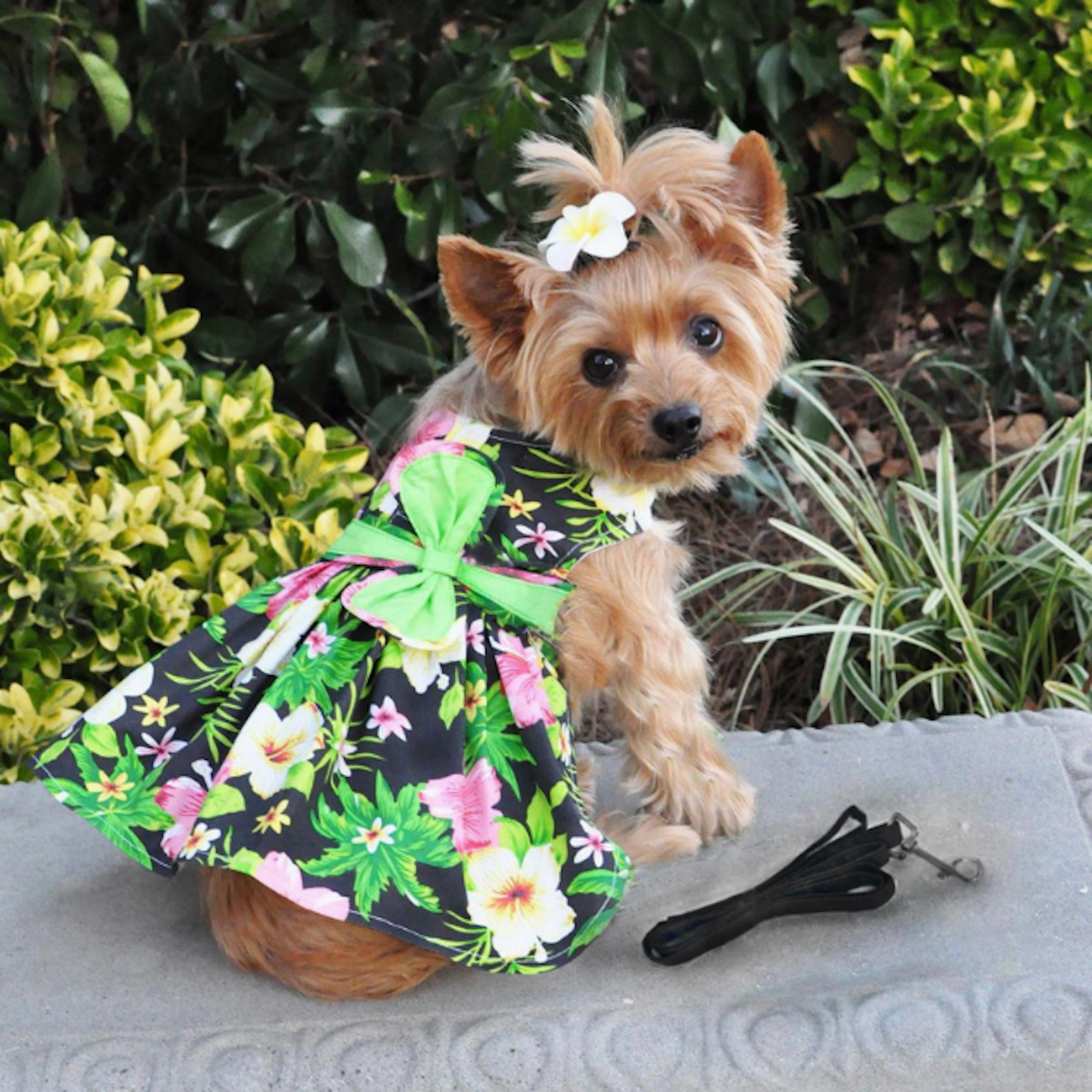 Dress | Black Hawaiian Hibiscus