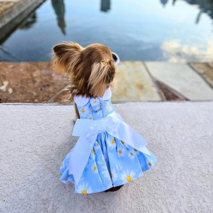 Dress | Blue Daisy