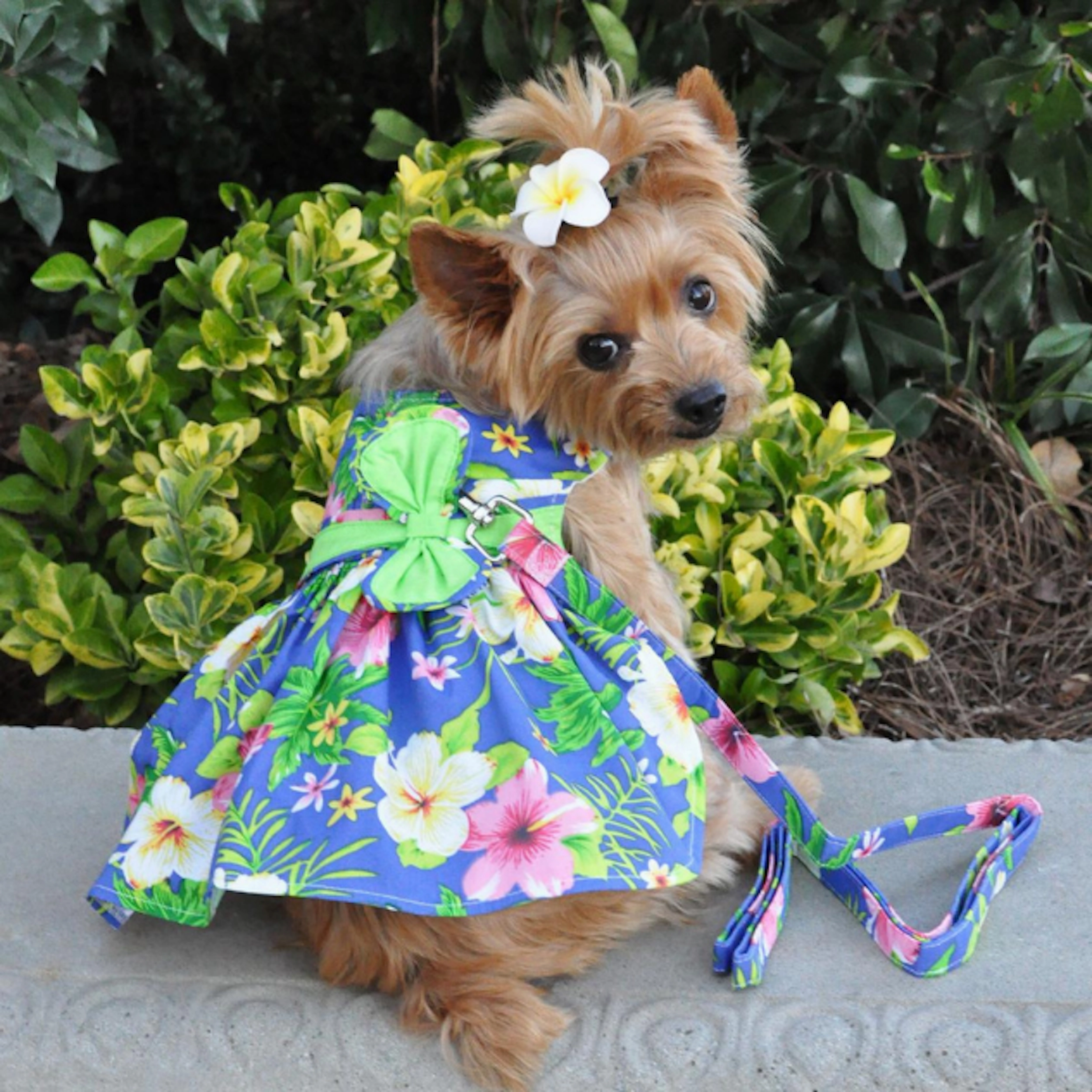 Dress | Blue Hawaiian Hibiscus