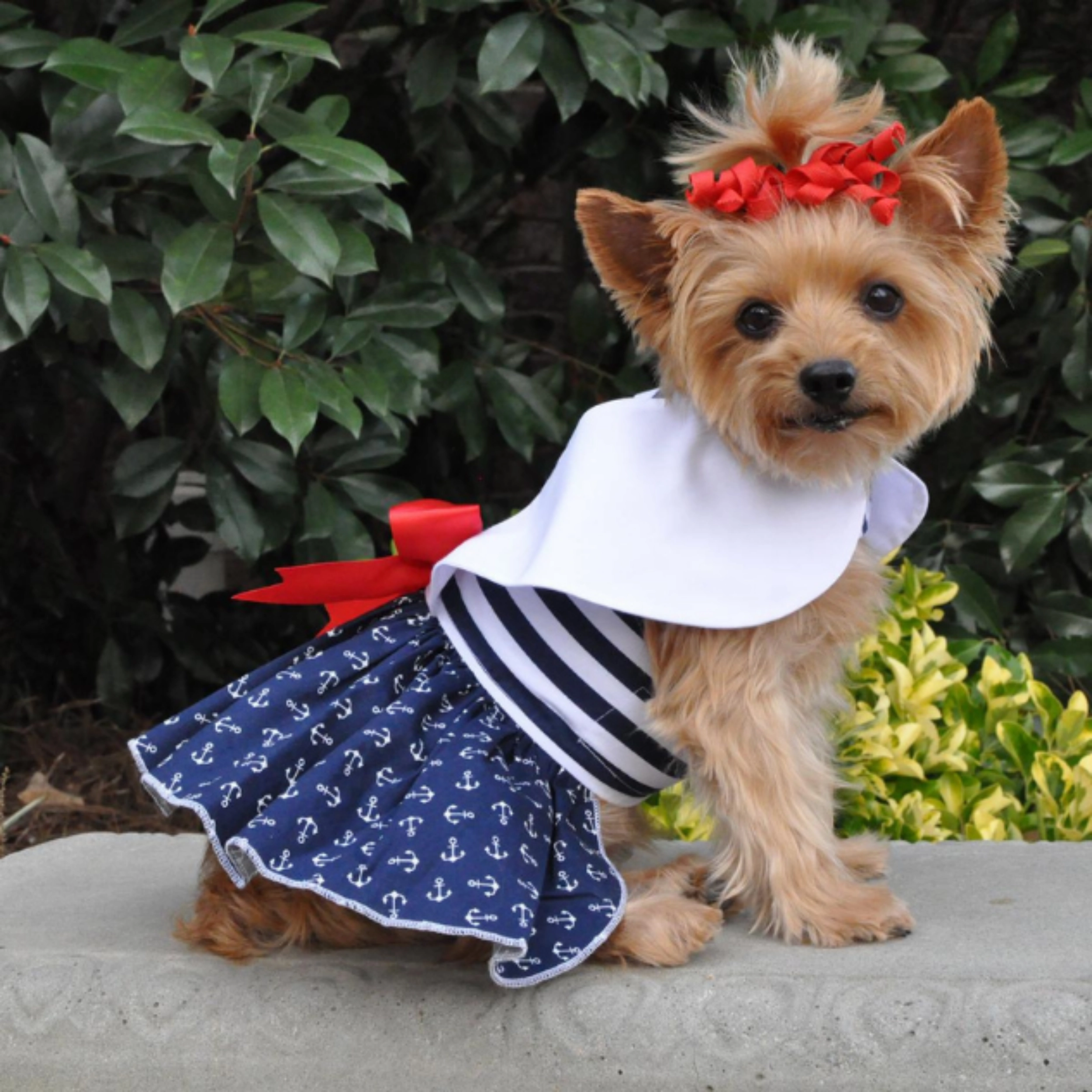 Dress | Nautical Navy