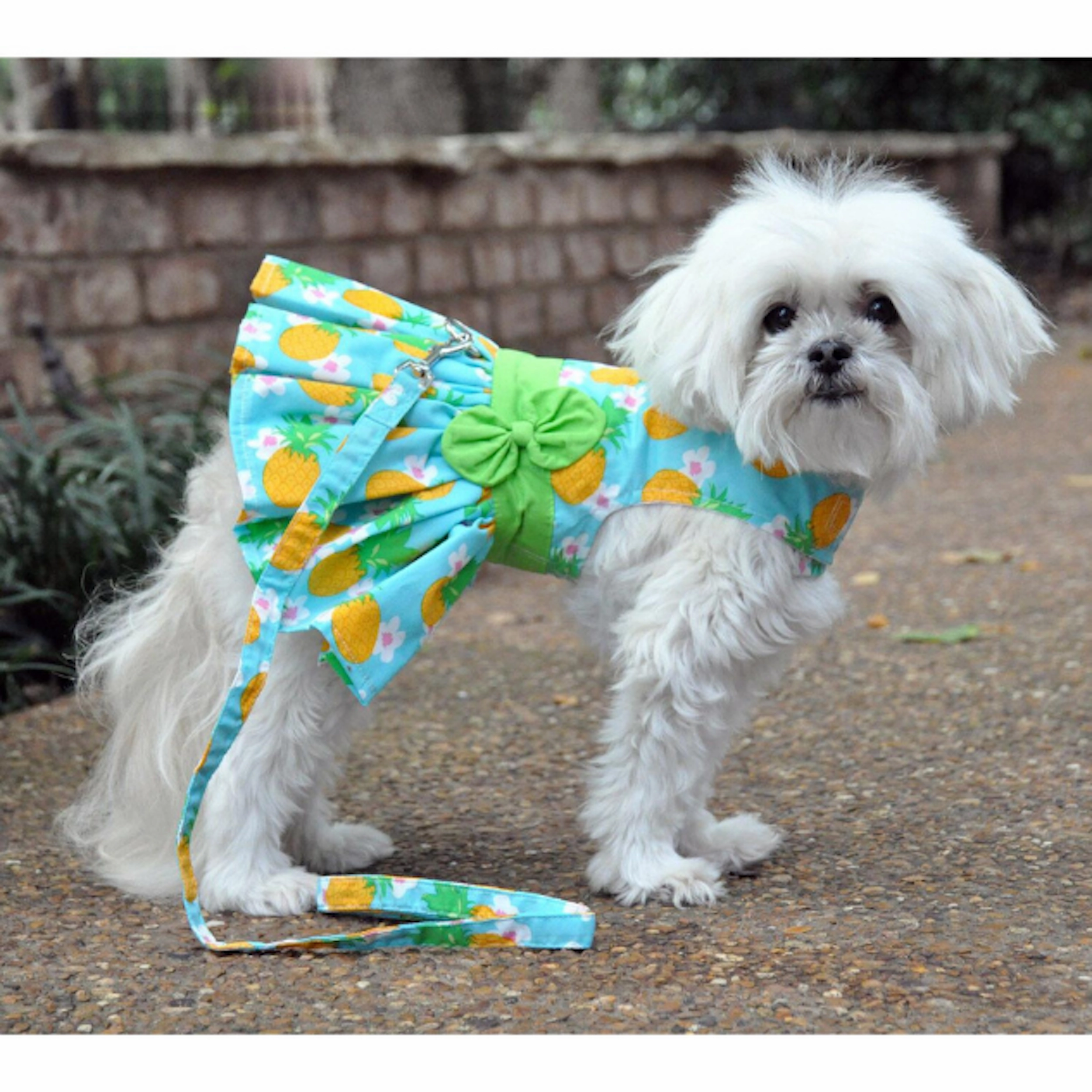 Dress | Pineapple Luau