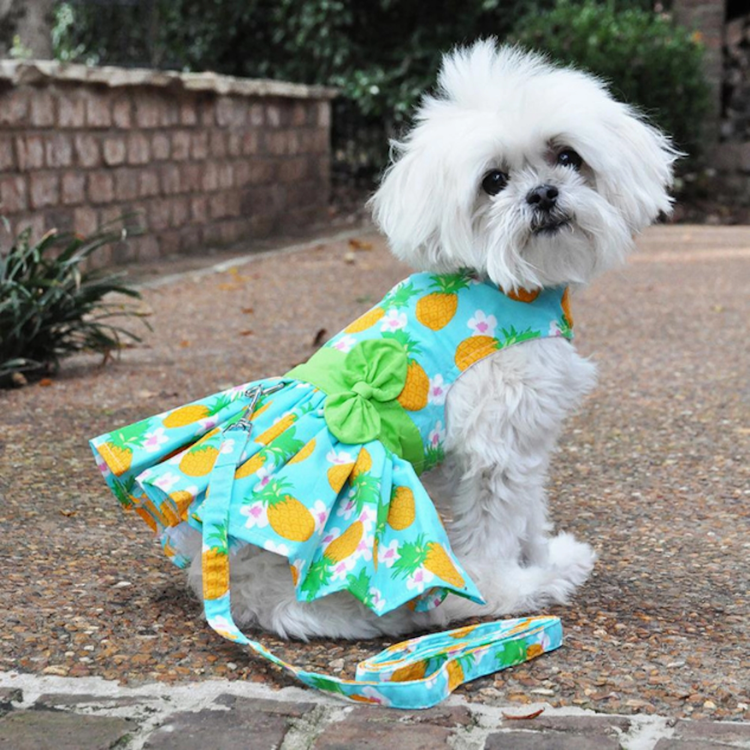 Dress | Pineapple Luau