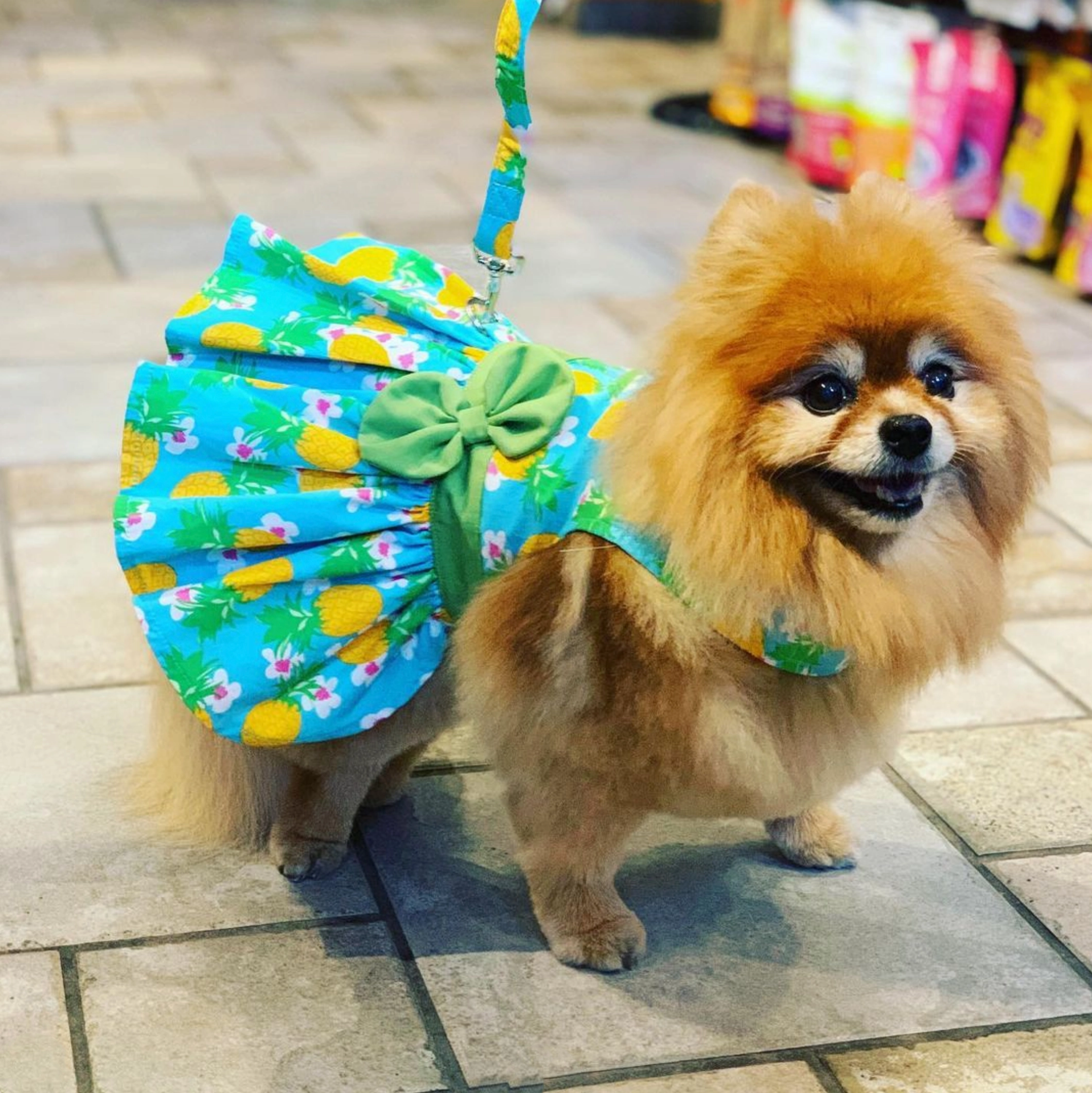 Dress | Pineapple Luau