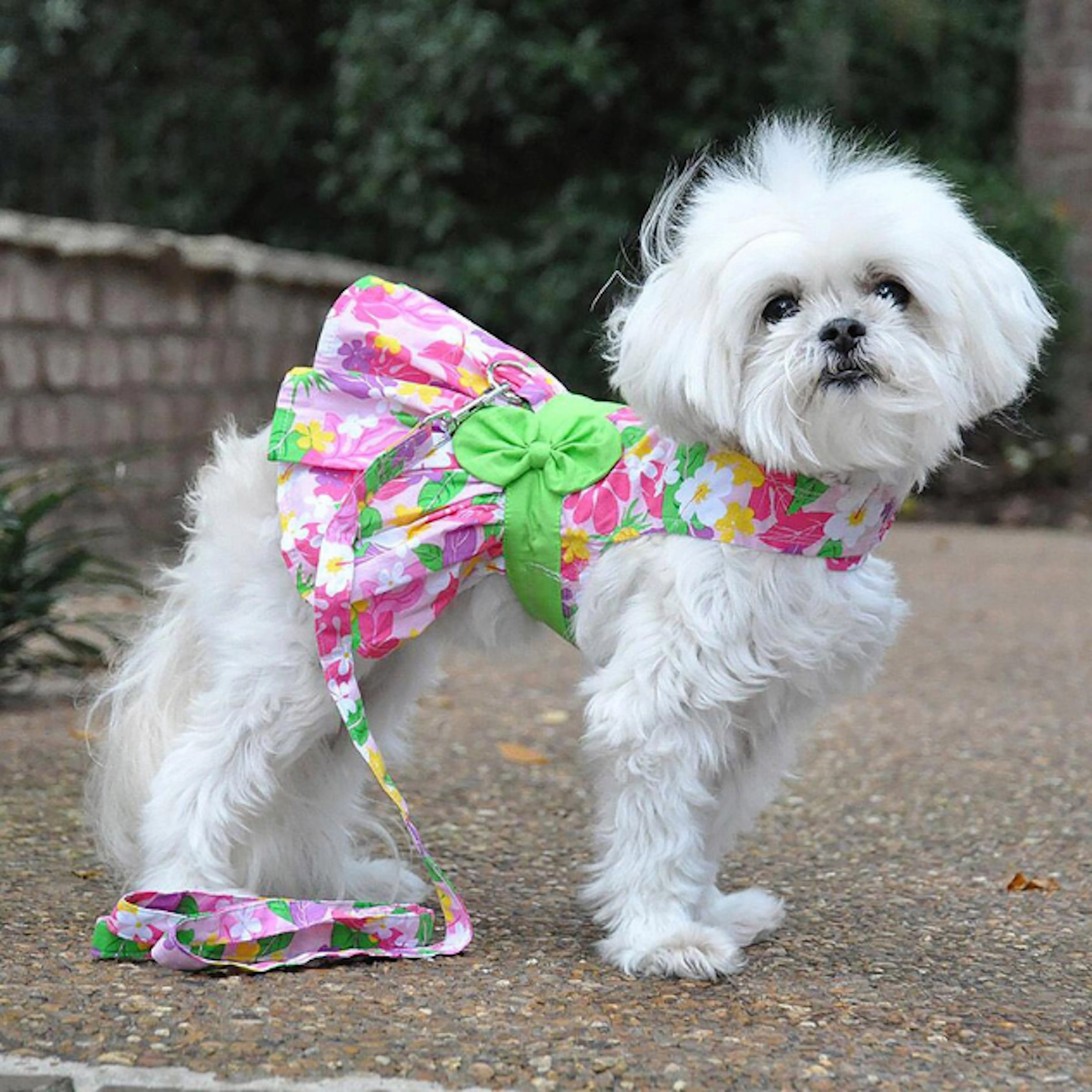 Dress | Pink Hawaiian Hibiscus