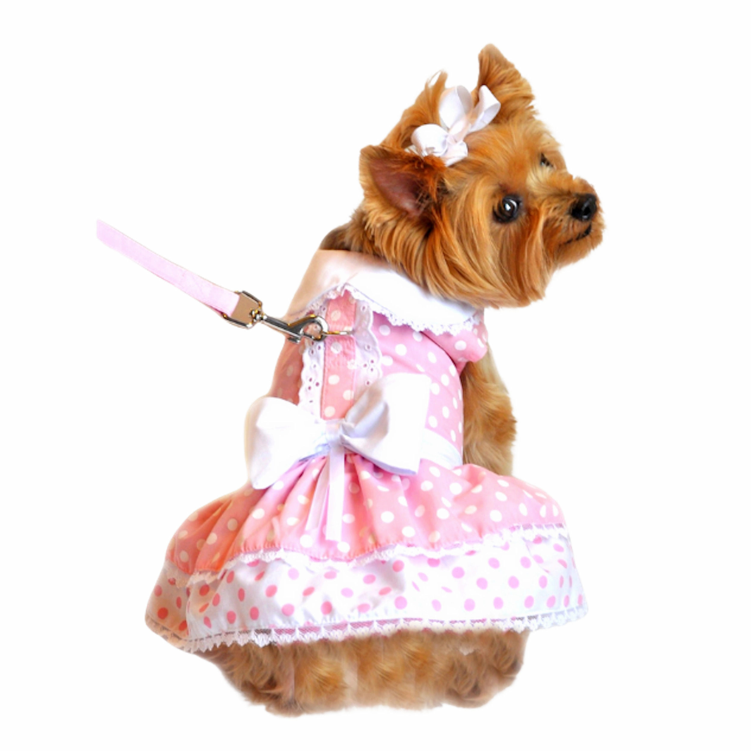 Dress | Pink Polka Dot
