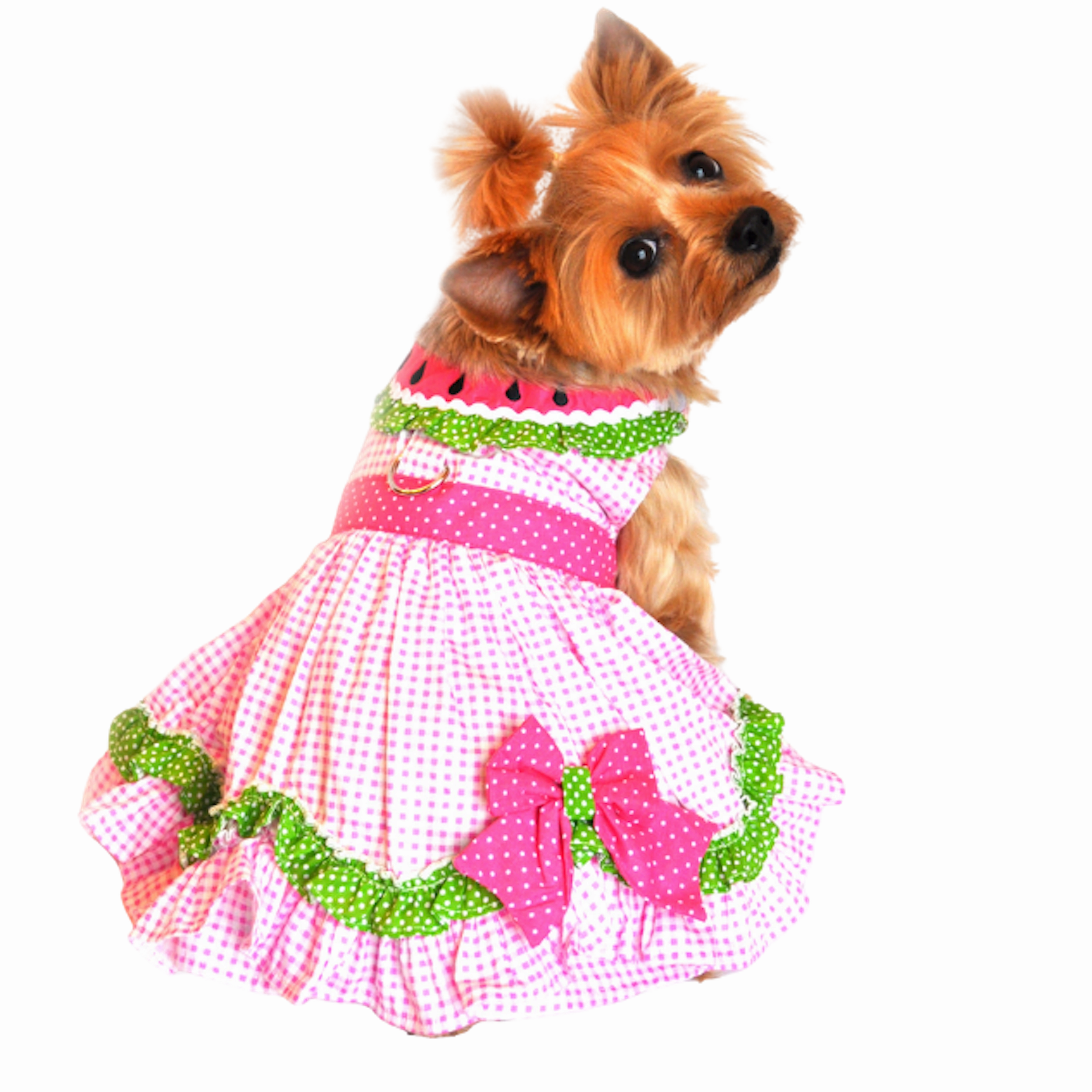 Dress | Watermelon Picnic