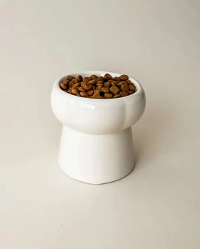 Elevated Pet Food Bowl in Creamy Beige