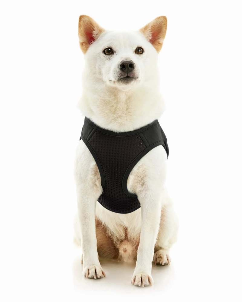 Escape-Free Easy Fit Plus Dog Harness