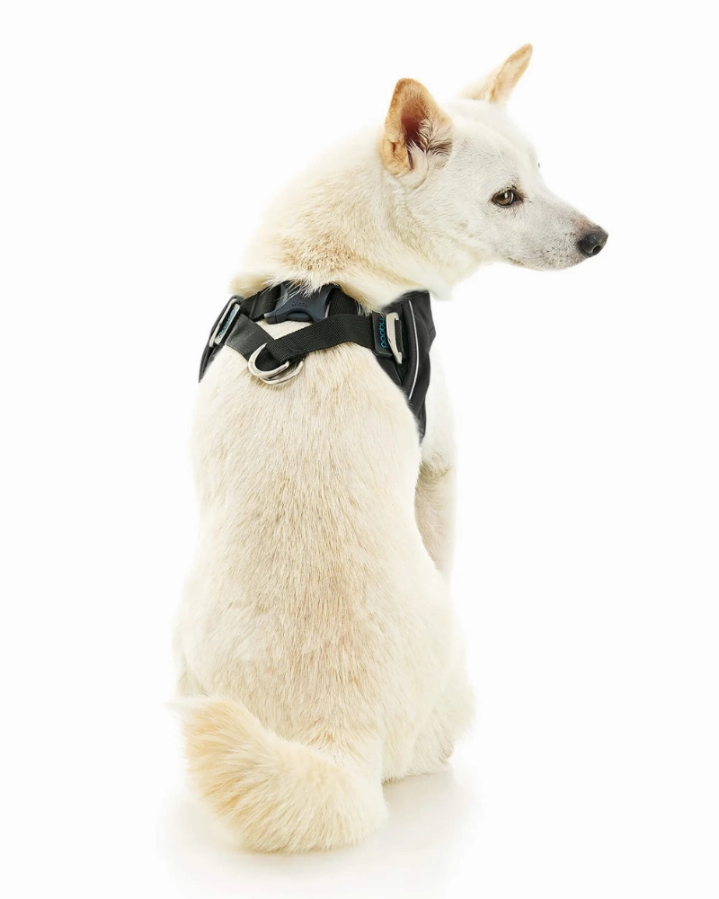 Escape-Free Easy Fit Plus Dog Harness