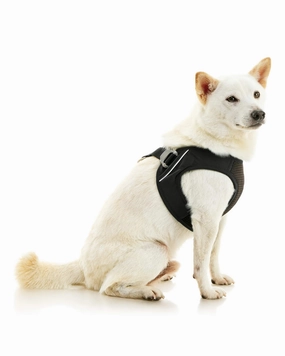 Escape-Free Easy Fit Plus Dog Harness