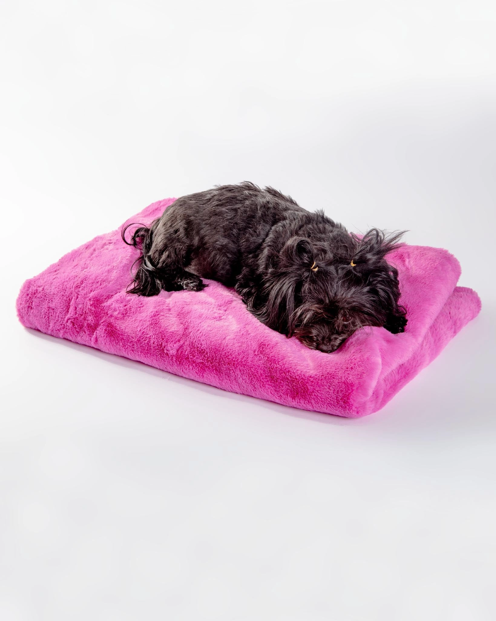 Faux Fur Brady Dog Blanket
