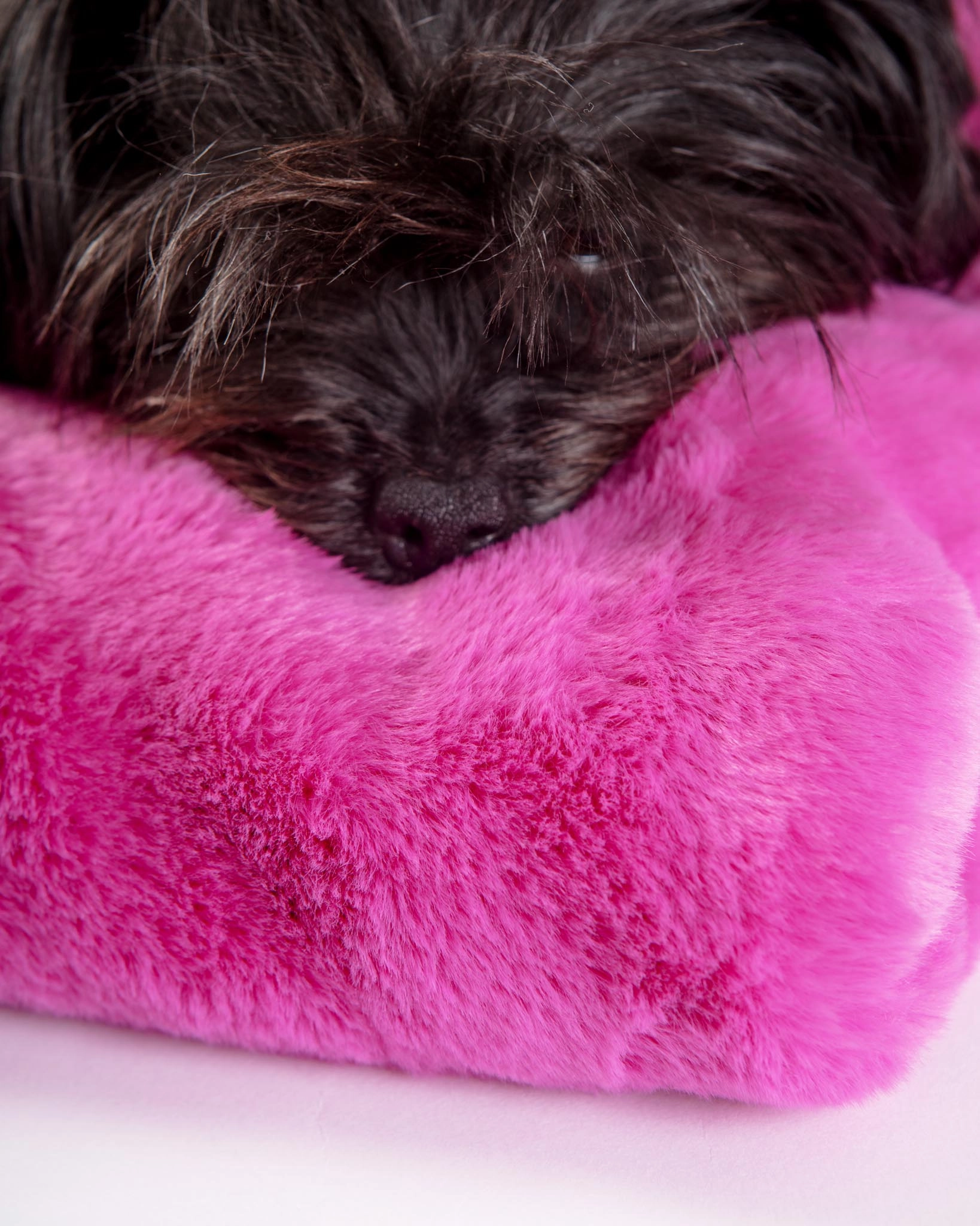 Faux Fur Brady Dog Blanket