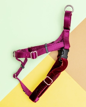 Freedom No-Pull Harness in Burgundy (Made in the USA)