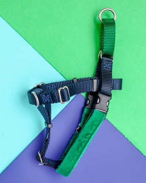 Freedom No-Pull Harness in Navy & Kelly Green (Made in the USA)