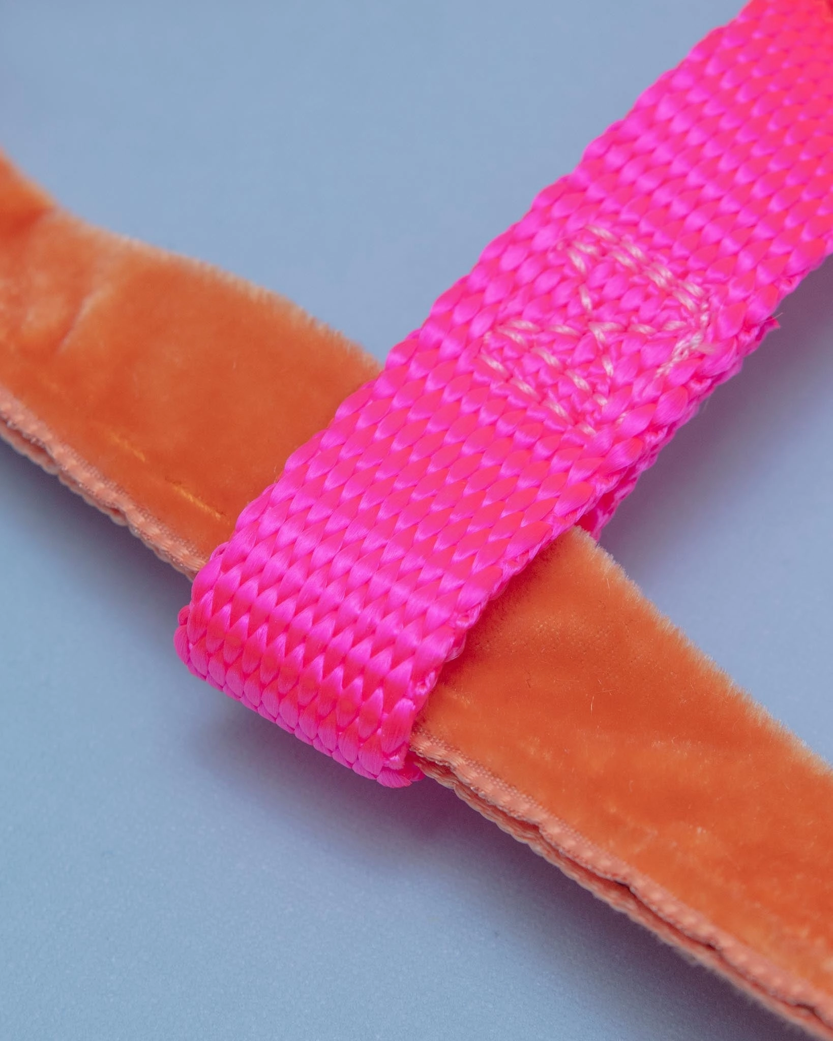 Freedom No-Pull Harness in Neon Pink & Orange (Made in the USA)