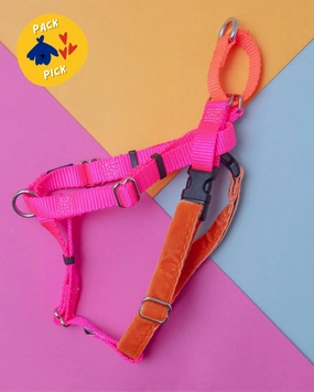 Freedom No-Pull Harness in Neon Pink & Orange (Made in the USA)