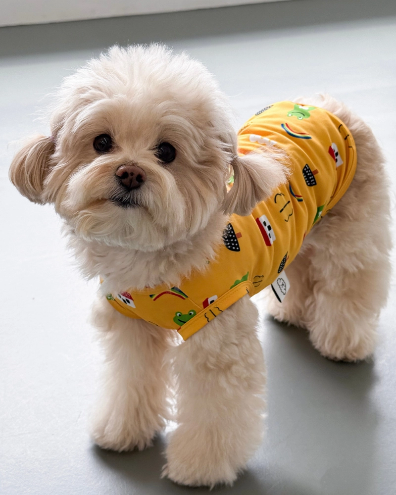 Froggy Friend Dog Cooling Tee