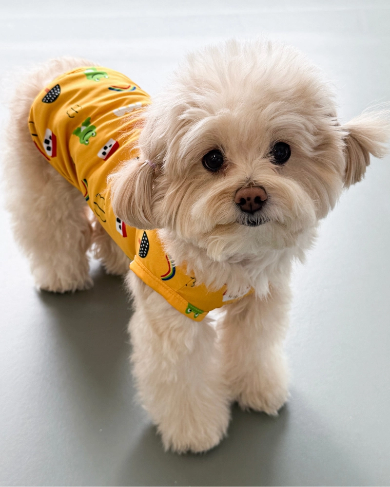 Froggy Friend Dog Cooling Tee