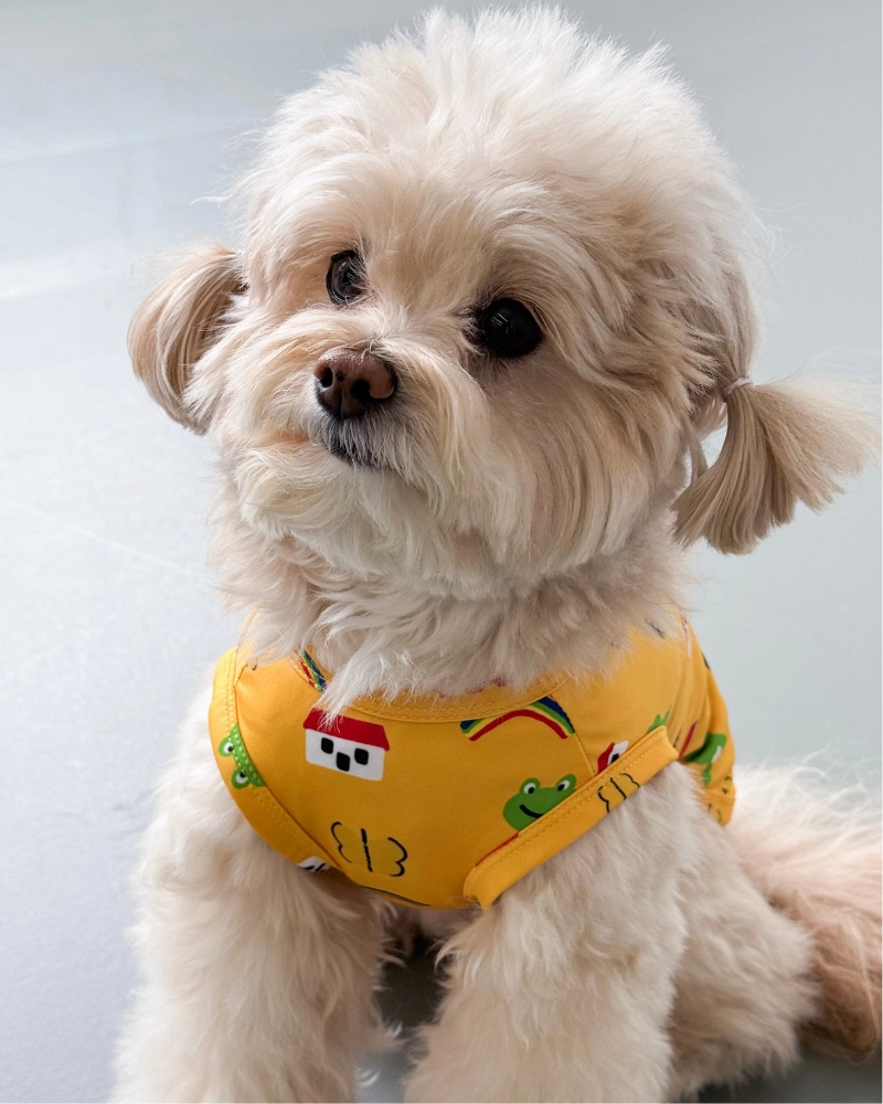 Froggy Friend Dog Cooling Tee