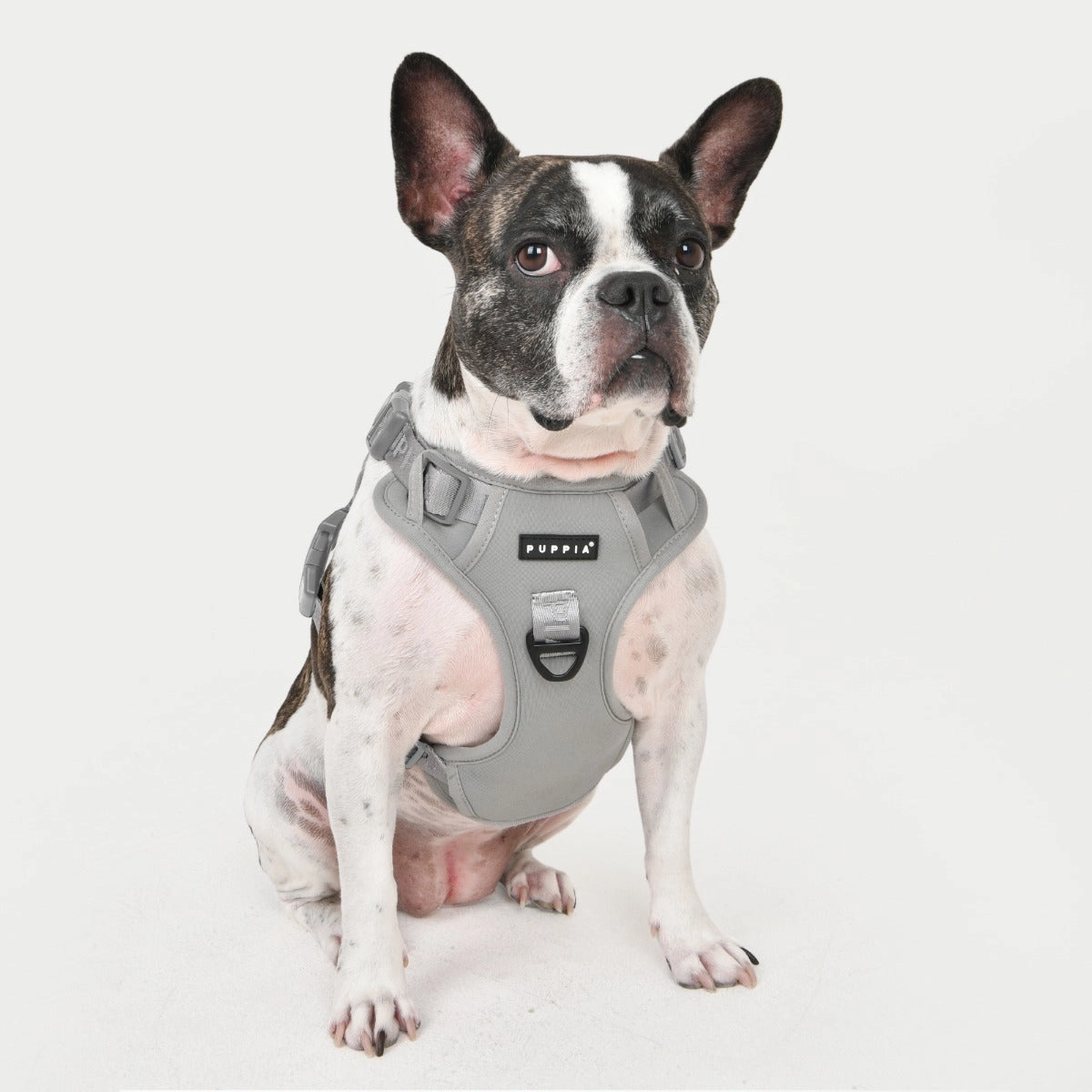 Front-Hook Harness | Jarek Gray