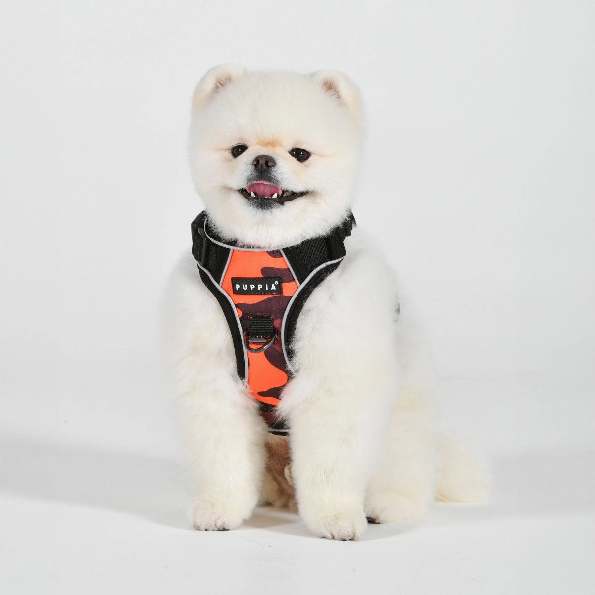 Front-Hook No-Pull Harness | Camo Orange