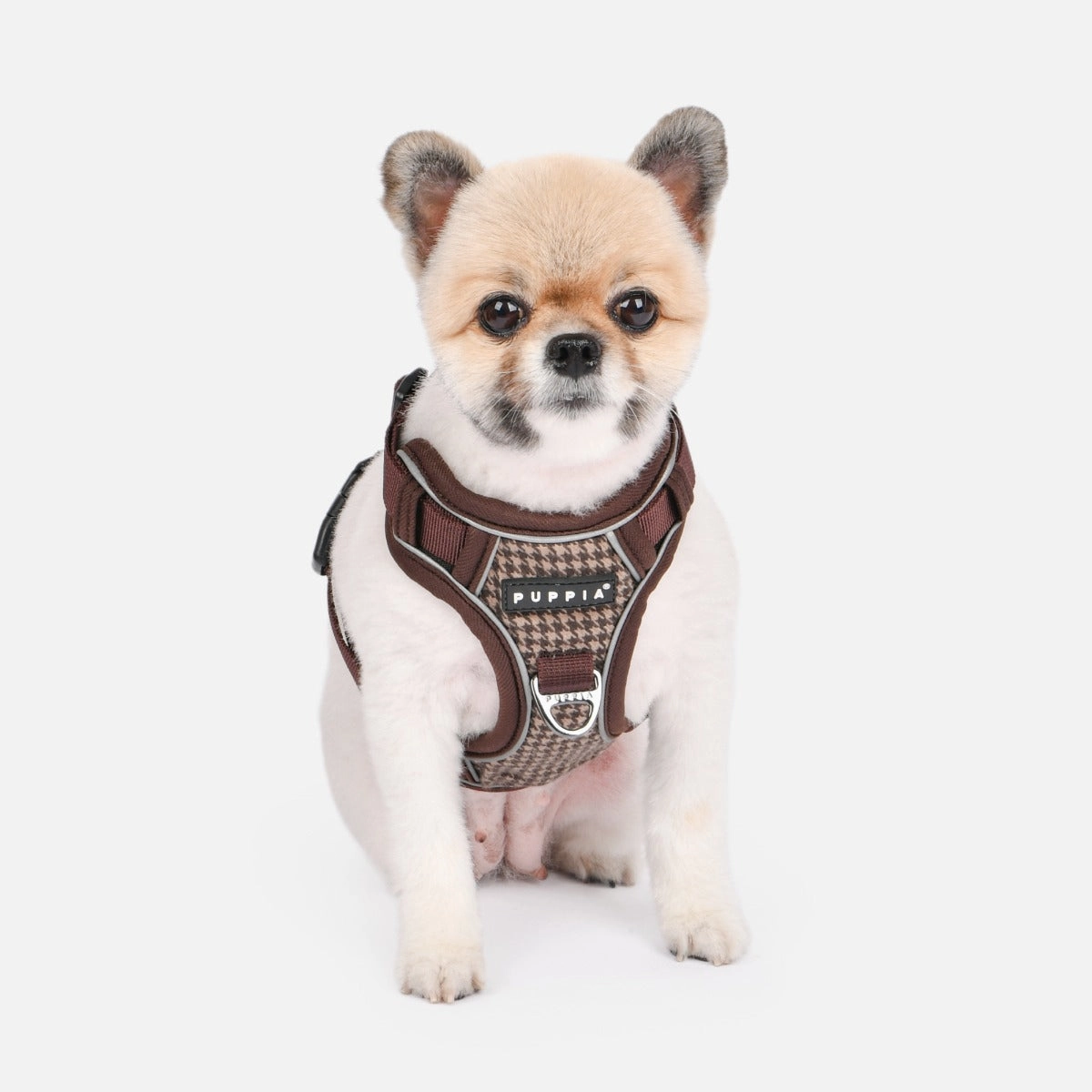 Front-Hook No-Pull Harness | Conall Houndstooth