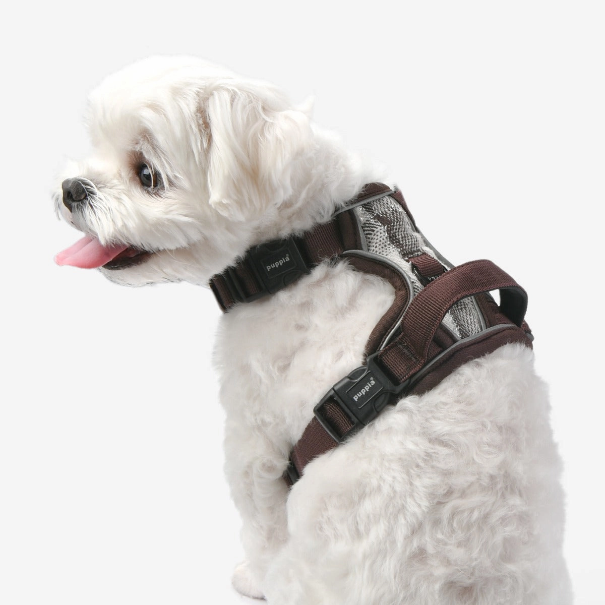 Front-Hook No-Pull Harness | Garrett Check Plaid