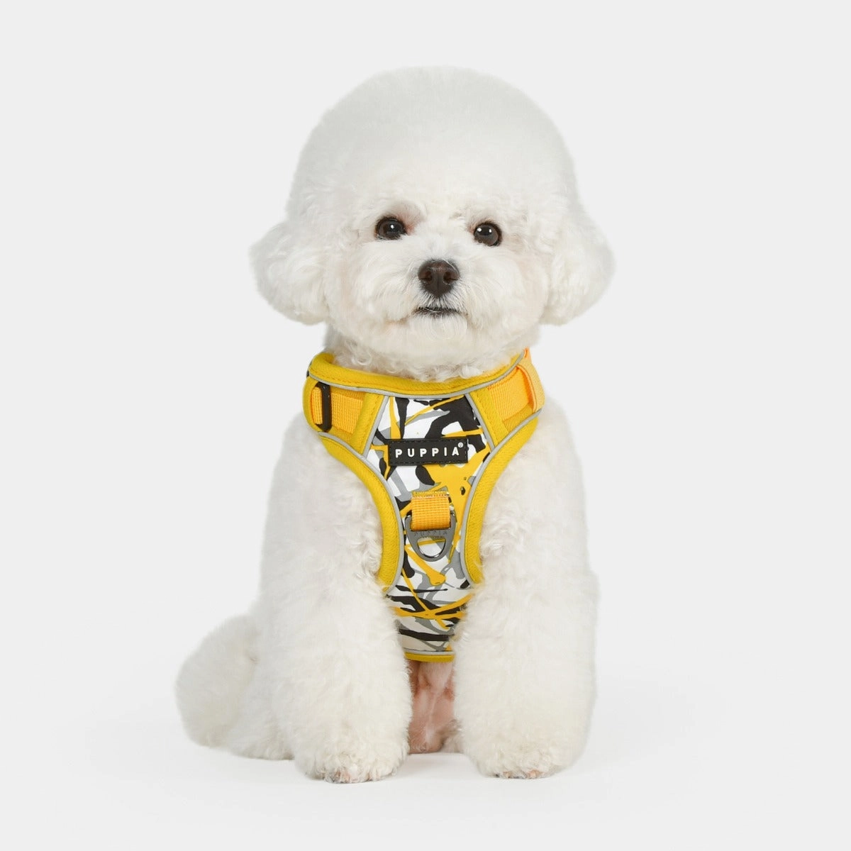 Front-Hook No-Pull Harness | Jackson