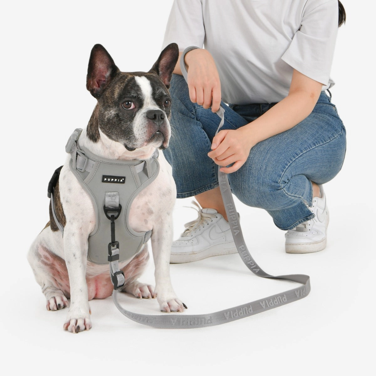 Front-Hook No-Pull Harness | Jarek Black