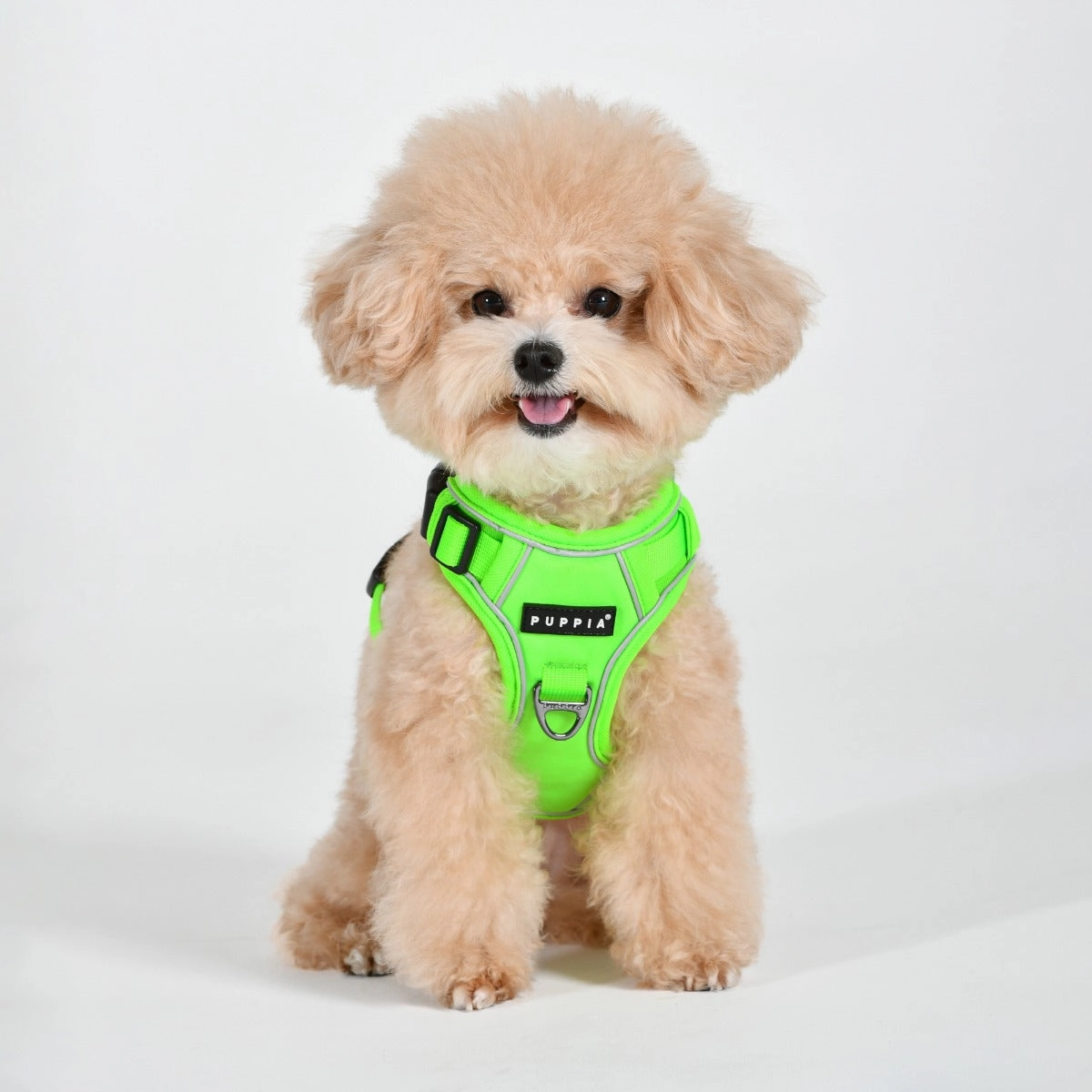 Front-Hook No-Pull Harness | Neon