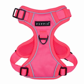 Front-Hook No-Pull Harness | Neon