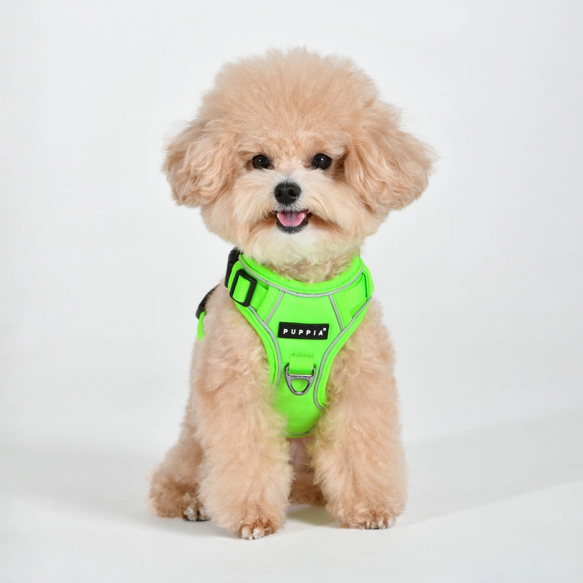 Front-Hook No-Pull Harness | Neon