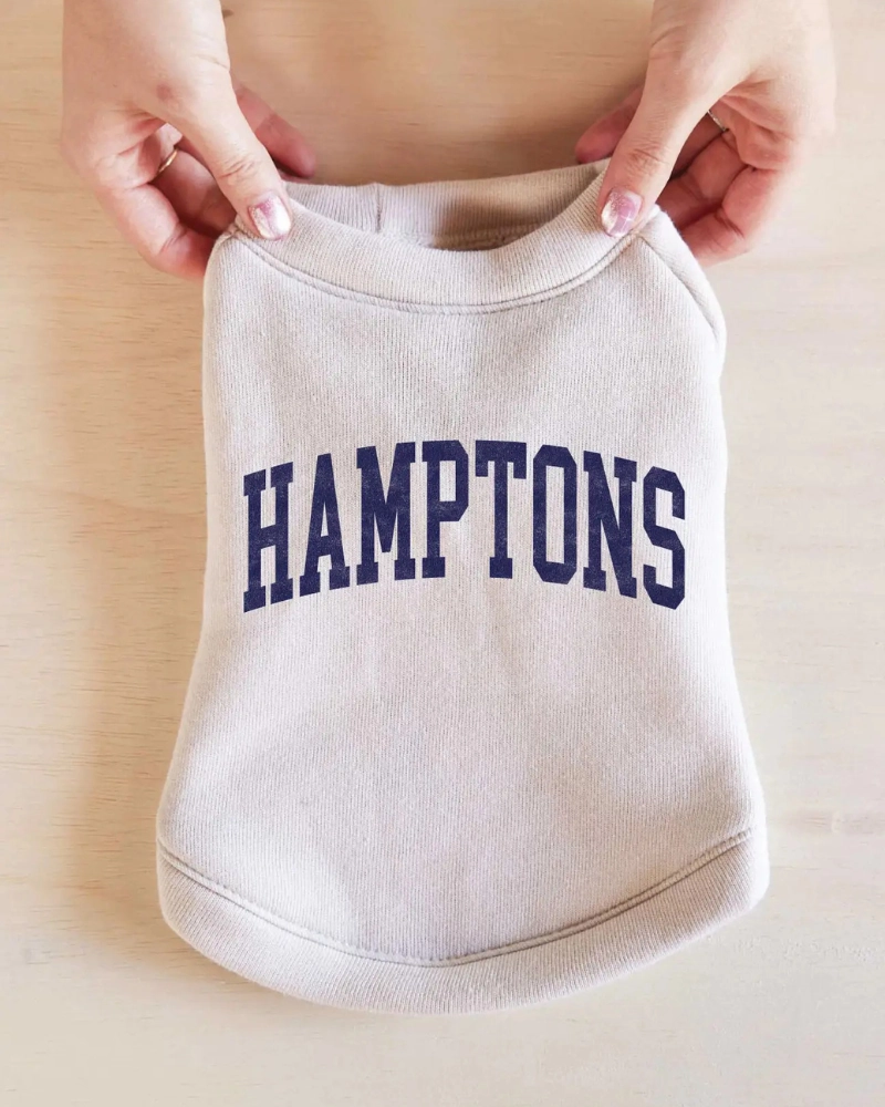 Hamptons Dog Sweatshirt in Oat