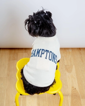 Hamptons Dog Sweatshirt in Oat
