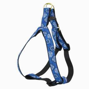 Harness | Blue Bandana