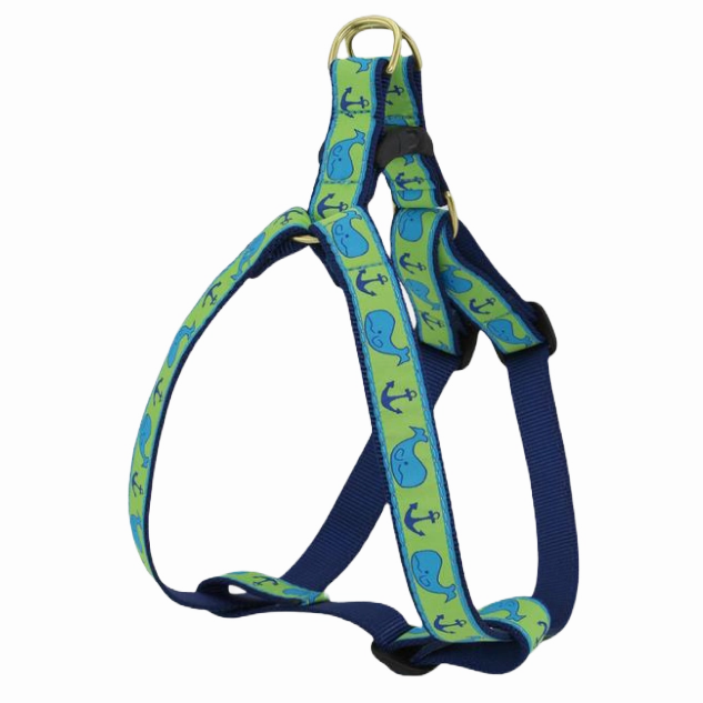Harness | Blue Whales