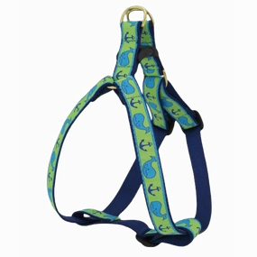 Harness | Blue Whales