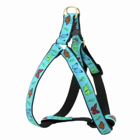Harness | Butterfly Effect
