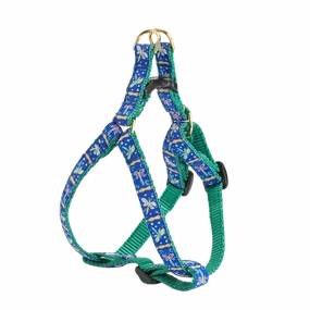 Harness | Dragonfly
