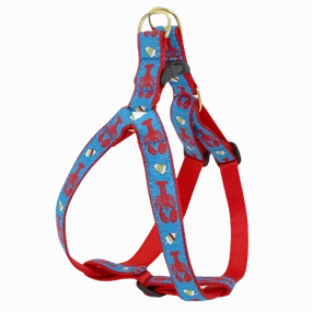 Harness | Lobster & Buoy