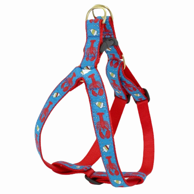 Harness | Lobster & Buoy