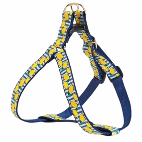 Harness | Make Lemonade